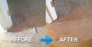 This carpet was damaged by a pet and repaired by yours truly :)